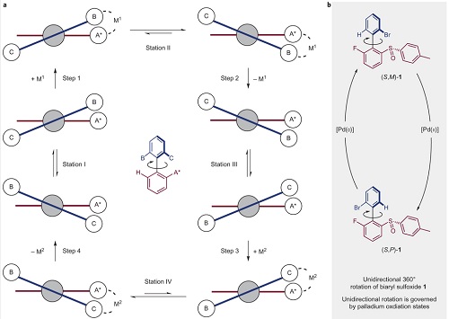 Concept and design of a unidirectional rotary molecular motor