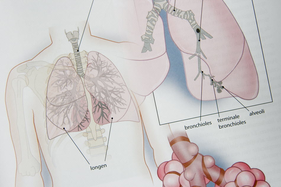 Inflammatory protein also present in lungs of ex-smokers