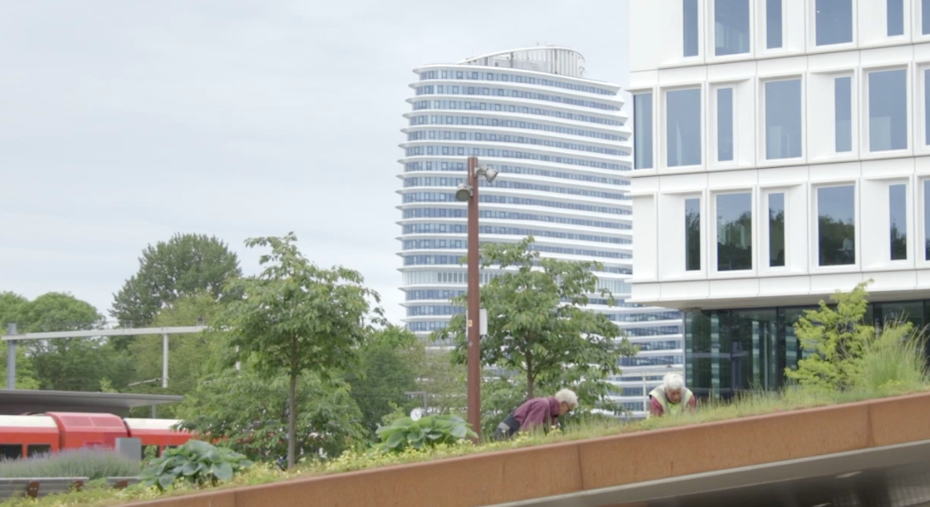 Meer inspelen op diversiteit ouderen bij inrichting wijken