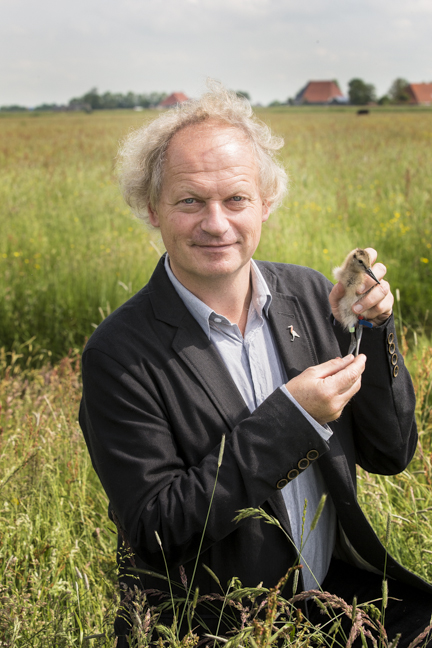 Theunis Piersma holding a young godwit.