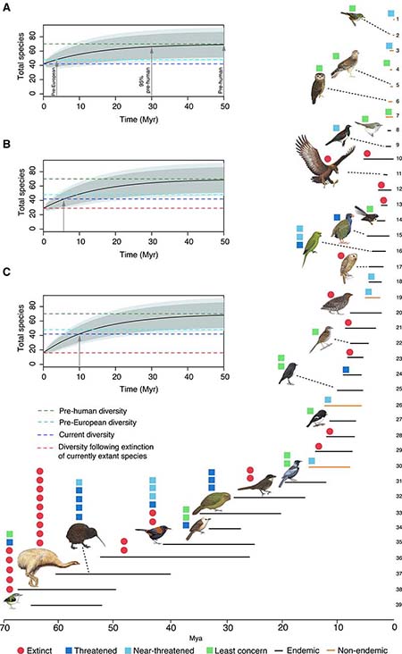 Figure - Colonization Times and Evolutionary Return Times for Total Number of Species