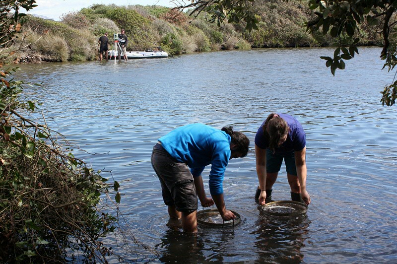 Researchers at work