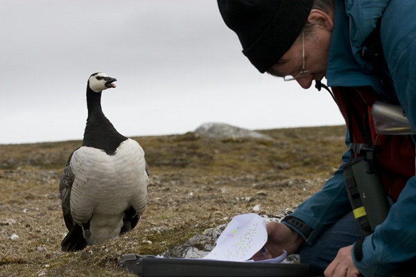 Loonen bezig met onderzoek (foto: Elise Biersma)