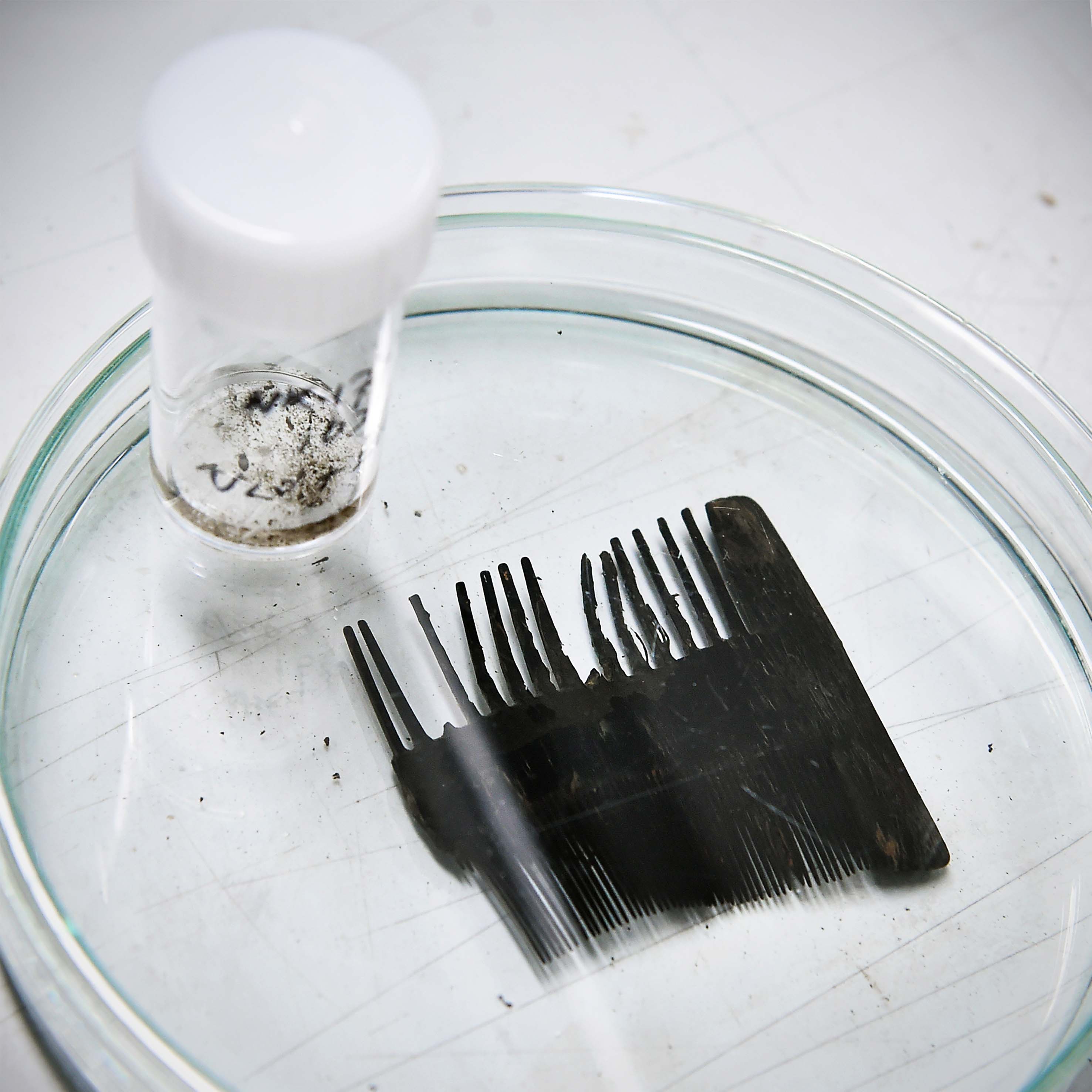 Persoonlijke hygiëne was ook belangrijk. Daar hoorde onder meer een kam bij. Conservator Van Oortmerssen haalde het organisch materiaal van de kam af en zag onder zijn microscoop onder meer …. (volgende foto).Personal hygiene was important, too. One of the objects found was a comb. Restorer Van Oortmerssen removed the organic material from the comb, looked into his microscope and saw, amongst other things …. (next photo)