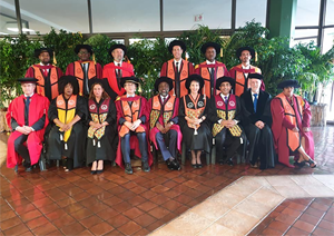 Ben Feringa tussen de andere ontvangers van een eredoctoraat van de University of Johannesburg