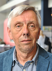Prof. Dirk Strijker