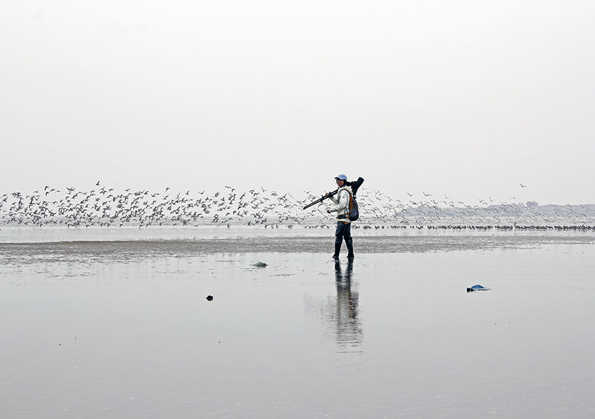 Een foto van Ginny Chan tijdens veldwerk op het wad van de Gele Zee, ChinaA photo of Ginny Chan doing fieldwork in the Yellow Sea mudflats