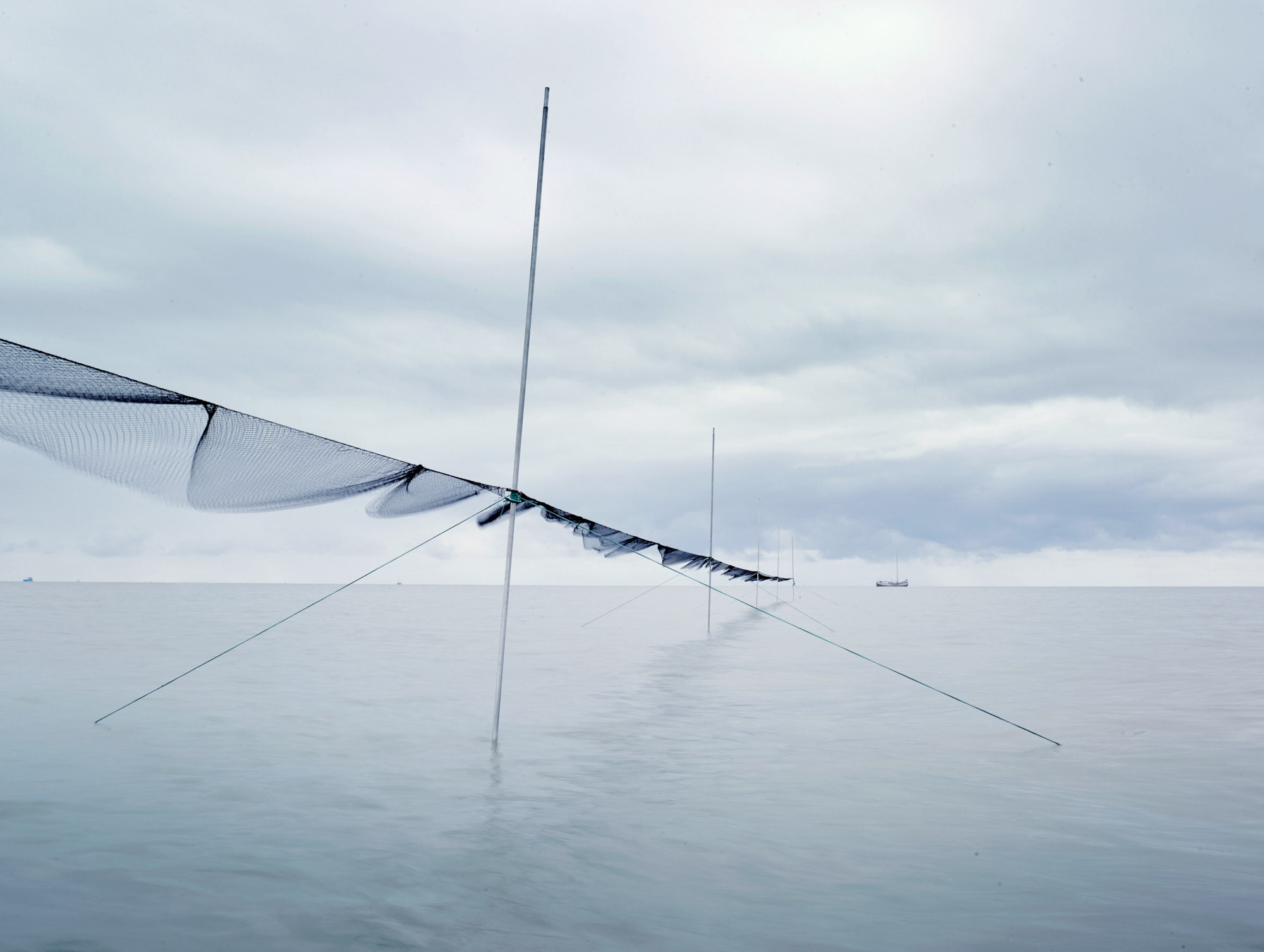 Mistnetten op het eilandje Richel bij Vlieland. ‘s Nachts worden met de netten wadvogels gevangen voor het WATLAS project. Deze worden gemeten, gewogen, krijgen een exploratietest en worden gezenderd.Mist nets on the Richel island near Vlieland. At night, wading birds are captured in the nets as part of the WATLAS project. These birds are measured, weighed, subjected to an exploratory test and then tagged.