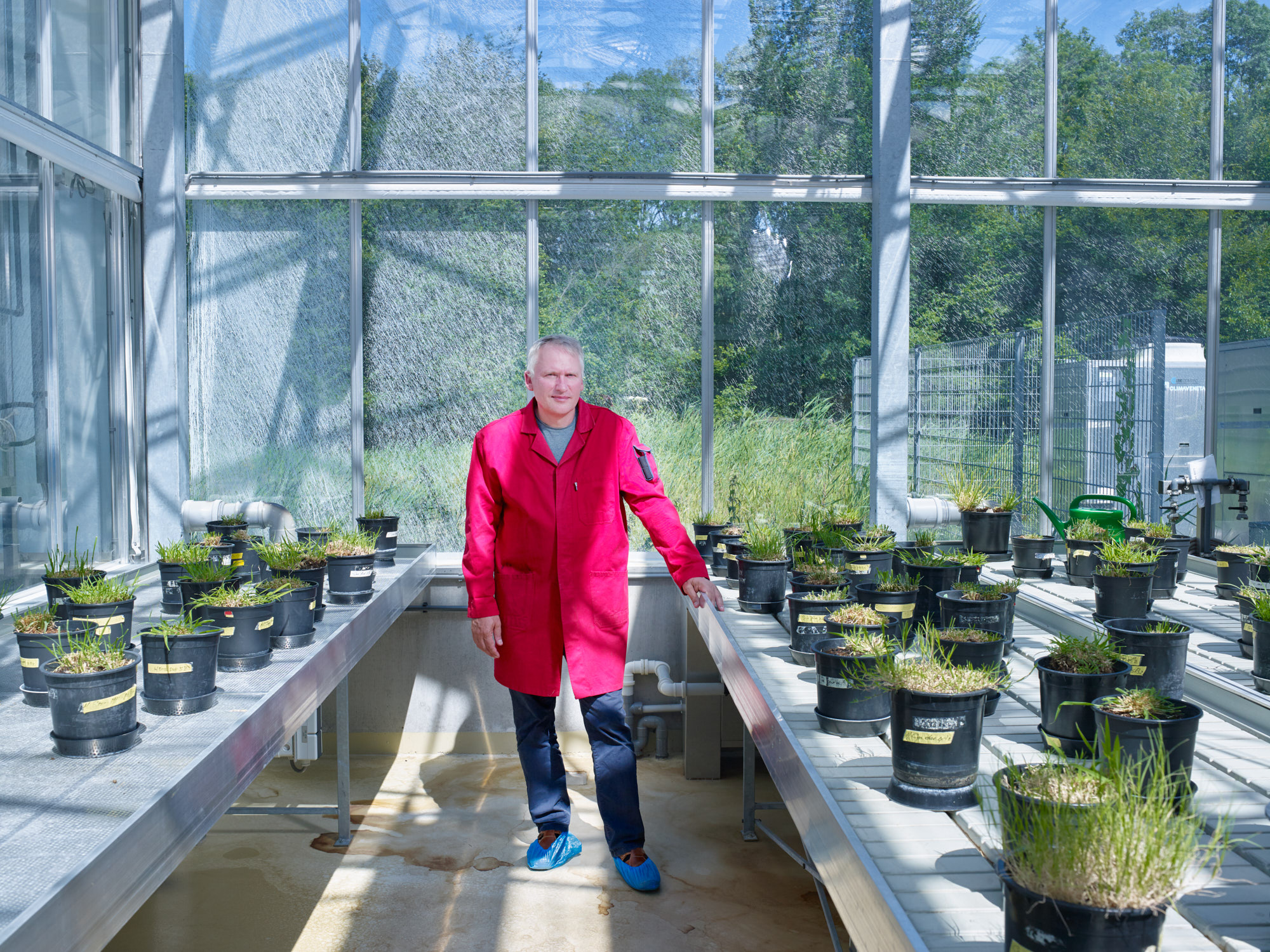 Ecoloog Han Olff in een plantenkas van de RUG. In deze kassen wordt onderzoek gedaan onderzoek gedaan naar de wisselwerking tussen grassen en bodem-microben uit de Serengeti in Afrika.Ecologist Han Olff in a UG plant nursery. In the UG’s plant nurseries, research is being conducted into the interaction between grasses and soil microbes from the Serengeti in Africa.