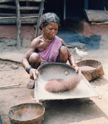 Een Adivasi uit Odisha verwijdert het kaf van gierst (copyright P. Berger)