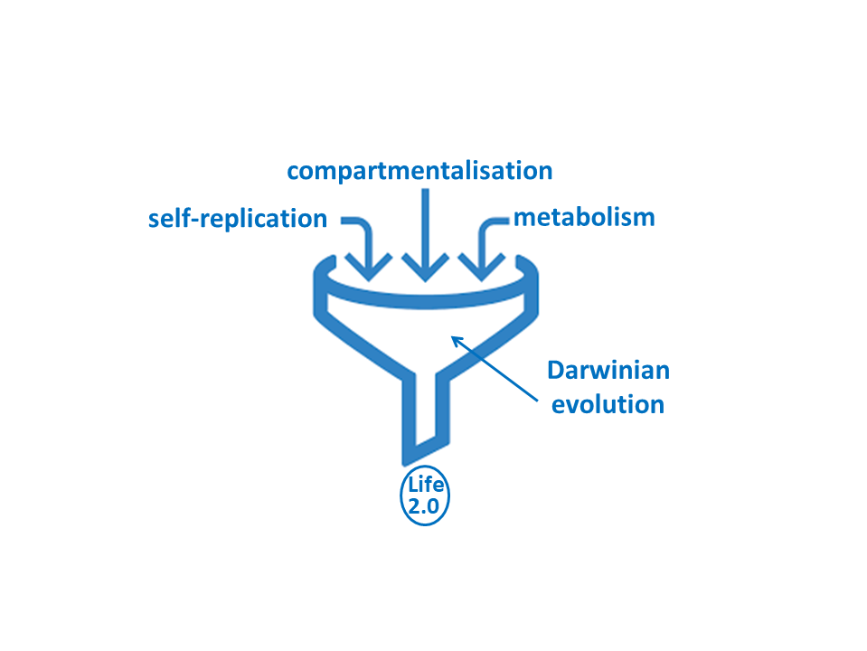 Basic properties of life. Artificial life must have three basic properties: self-replication, metabolism and compartmentalisation. When these properties induce open Darwinian evolution, in which new properties can evolve, artificial life is a fact. Credit: Otto-lab