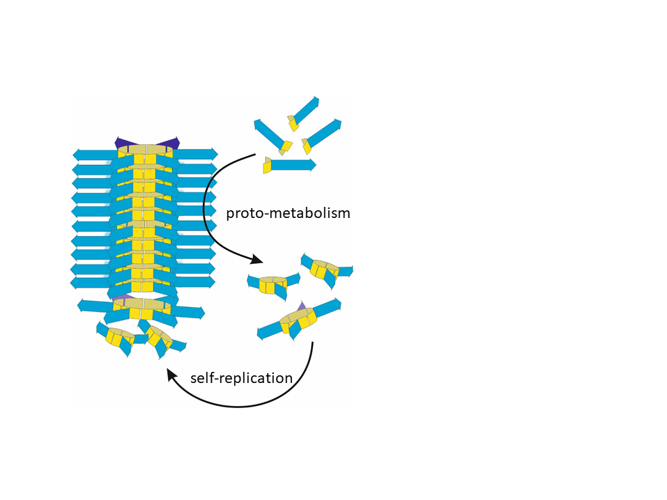 Proto-metabolism in artificial life. The stacks of rings catalyse the conversion of the basic building blocks into new three- and four-membered rings which are needed for the growth of stacks of six-membered rings (self-replication). Credit: Otto-lab