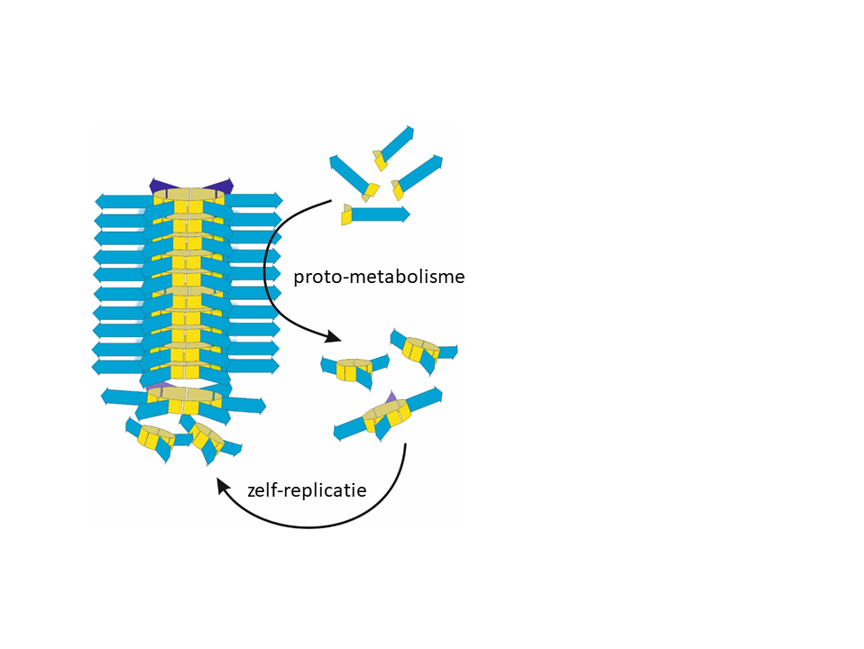 Vereenvoudigde weergave van het mechanisme van protometabolisme. De stapeltjes ringen katalyseren de omzetting van de bouwstenen in nieuwe (drie- en vier-)ringen die nodig zijn voor de groei van stapels van zes-ringen (zelf-replicatie). Credit: Otto-lab