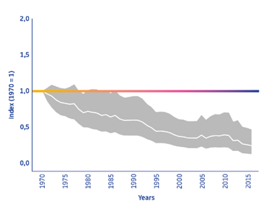 Freshwater fish graph