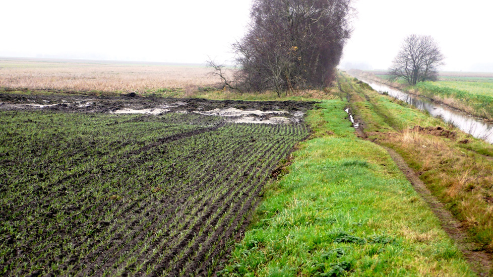 De verdwenen Eems kruist de rijksgrens in Laudermarke. Blik vanaf de zuidoever. (foto Henny Groenendijk)The disappeared Ems crosses the national border by the village of Laudermarke. View from the south bank. (photo Henny Groenendijk)