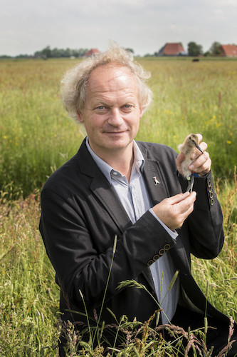 prof. dr. Theunis Piersma