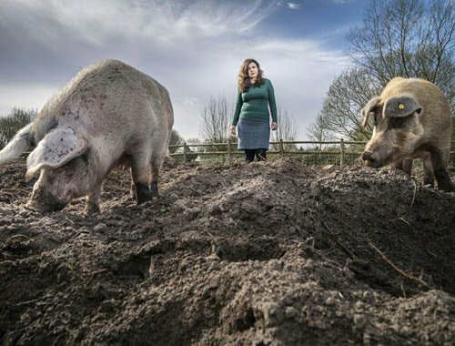 Çakırlar: ‘Of mensen hun dieren aaiden, weten we niet. Maar we kunnen het ontstaan van relaties tussen mensen en dieren wel waarnemen.’