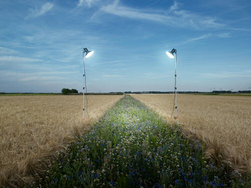 ‘Het economisch optimum zit nooit op het punt van de hoogste opbrengst.’ Foto: Eddo Hartmann