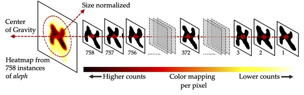 An illustration of how heatmaps of normalized average character shapes are generated for individual letters (in this example: aleph). CREDIT: Maruf A. Dhali, University of Groningen.