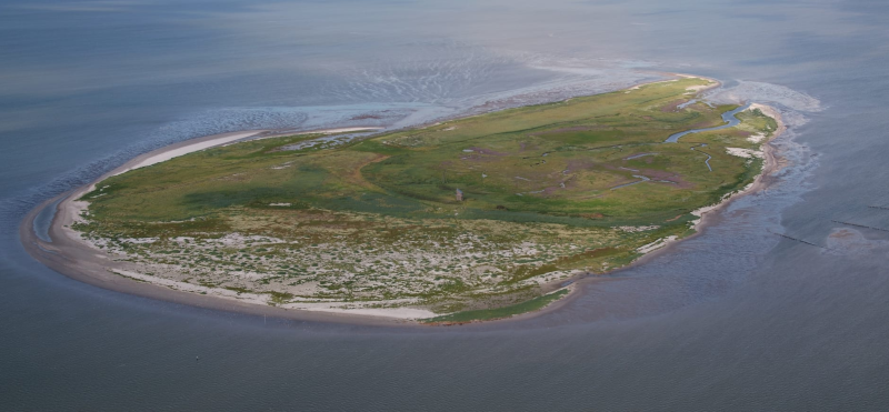 Griend (Foto: Natuurmonumenten)