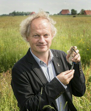 Theunis Piersma: De dalende gruttostand is niet een natuurbeschermingsprobleem, maar een maatschappelijk probleem. (Foto: Ivar Pel)