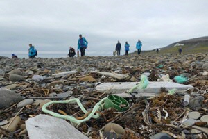 Volunteers picking up waste