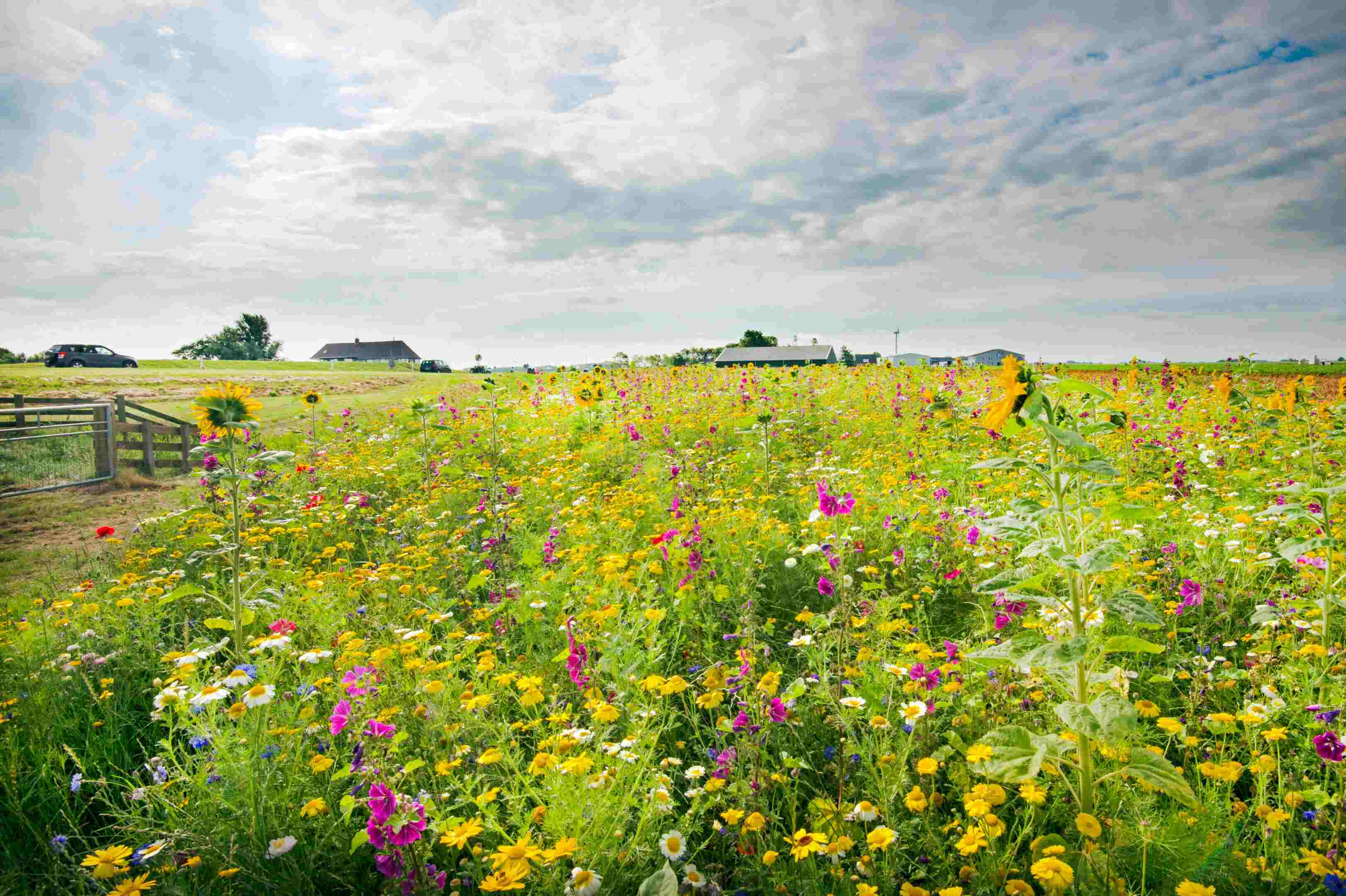 Regeneratieve landbouw