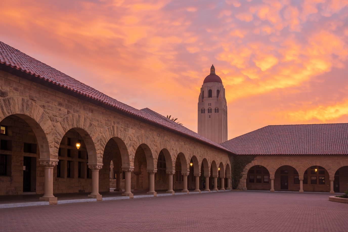 Princeton University