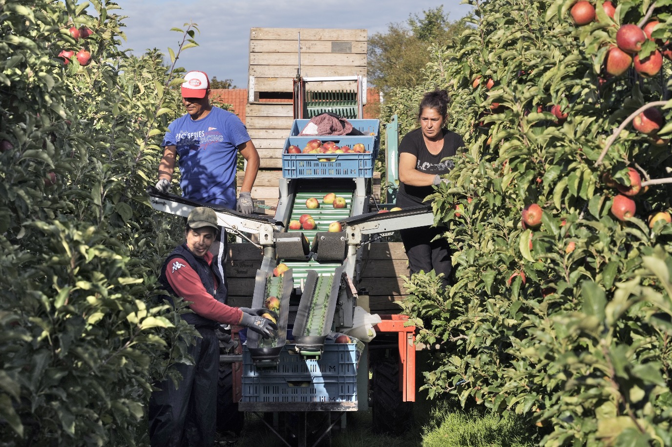 Agricultural workers