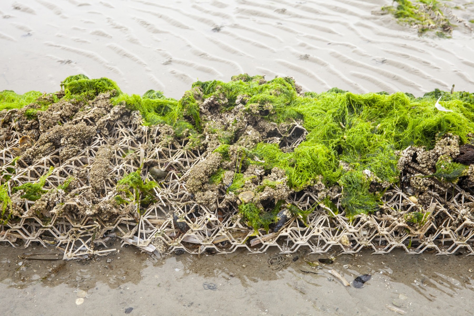 Photographer: Eddo Hartmann, as part of series Imagining Science: Collective Landscape