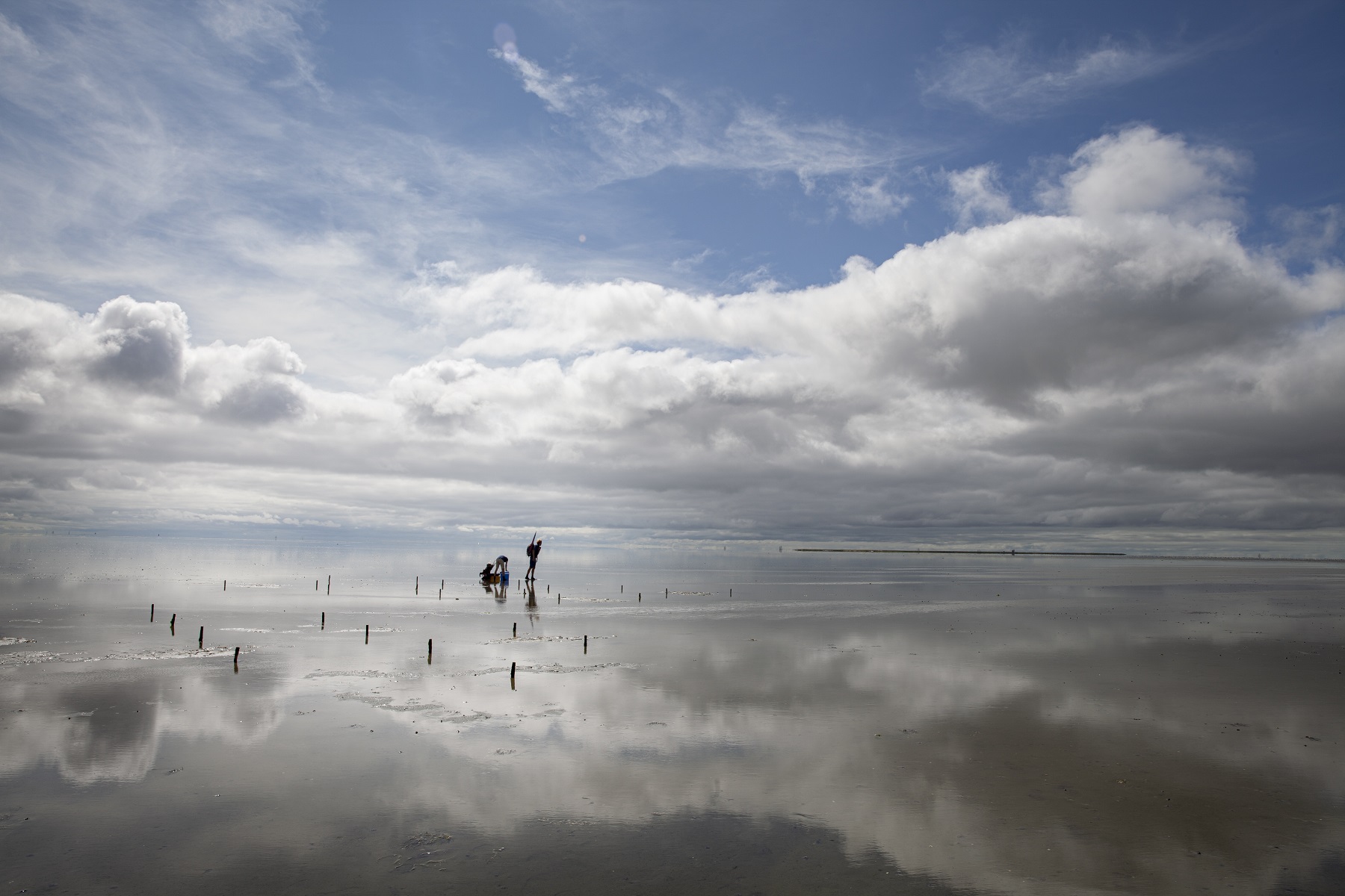 Fotograaf: Eddo Hartmann, in kader van Imagining Science series: Collective LandscapePhotographer: Eddo Hartmann, as part of series Imagining Science: Collective Landscape