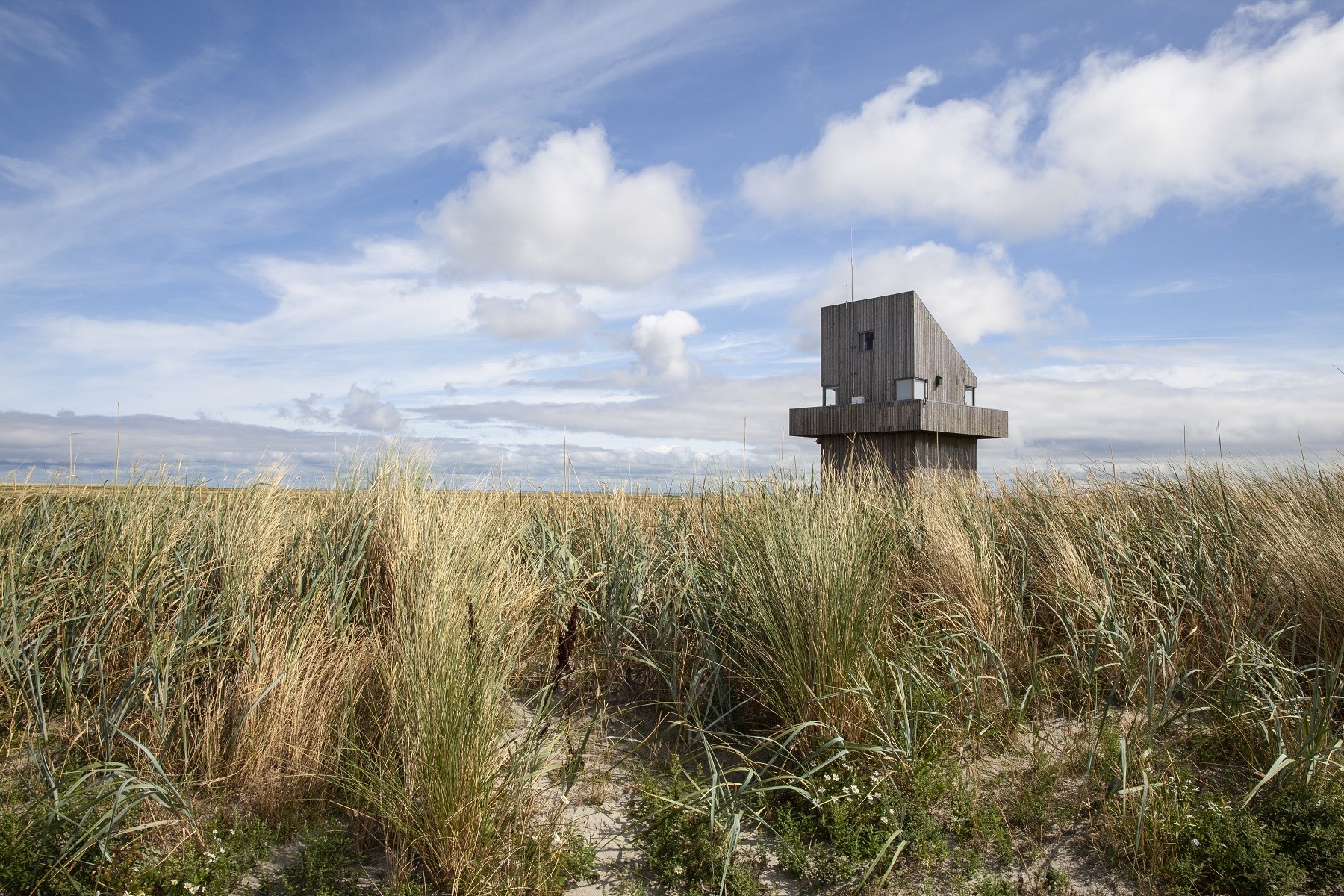 Photographer: Eddo Hartmann, as part of series Imagining Science: Collective Landscape