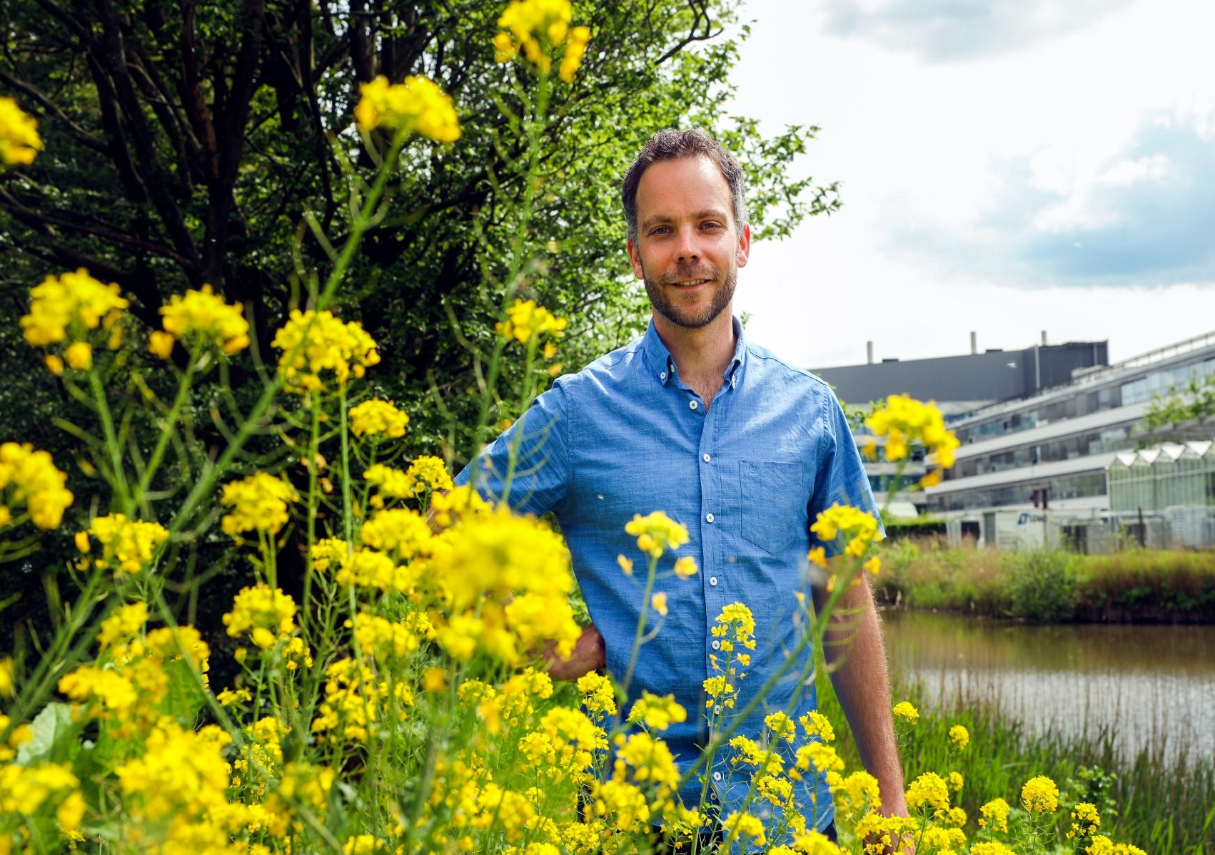 Van der Kooi met koolzaad