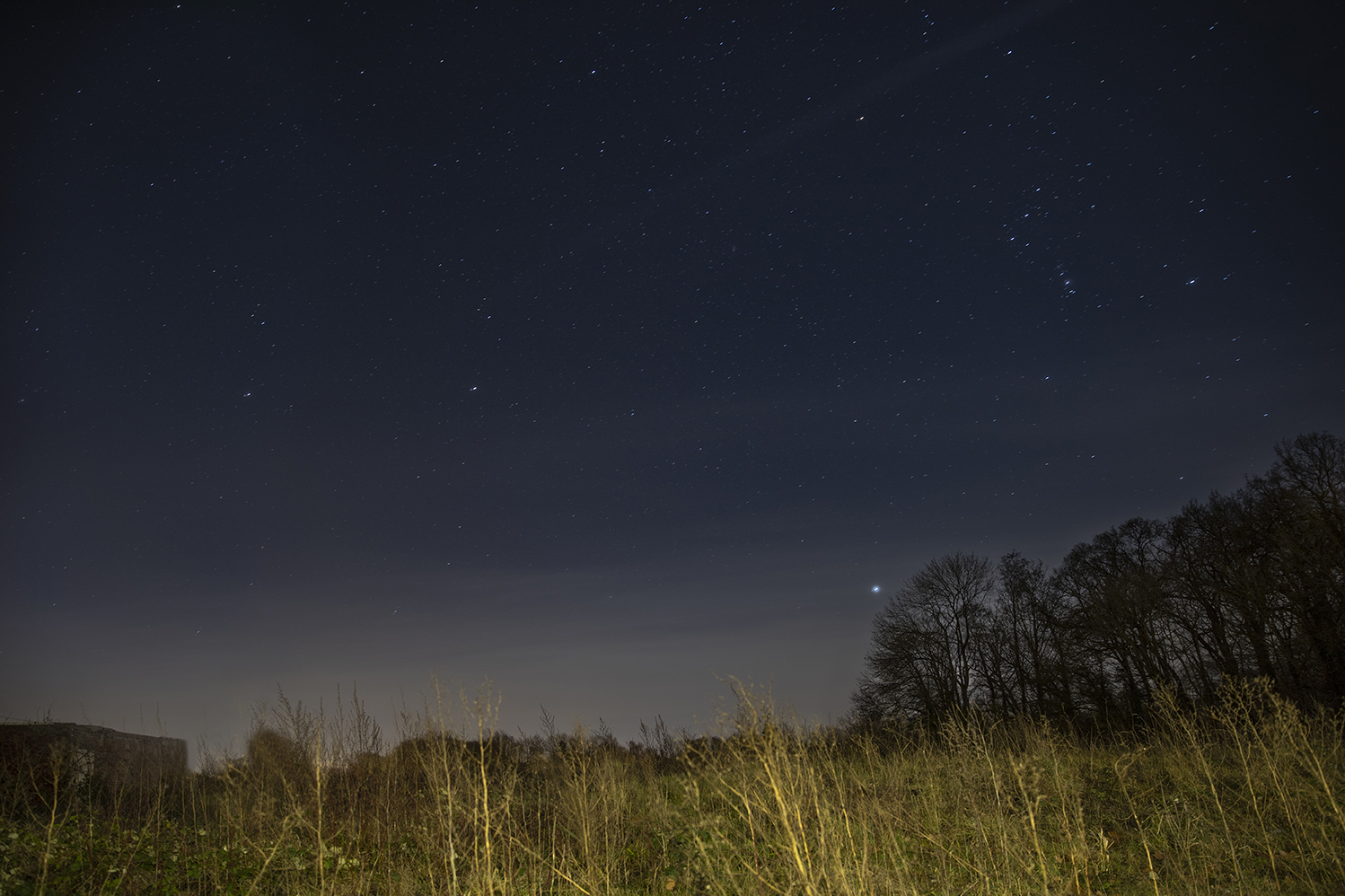 Starry skies