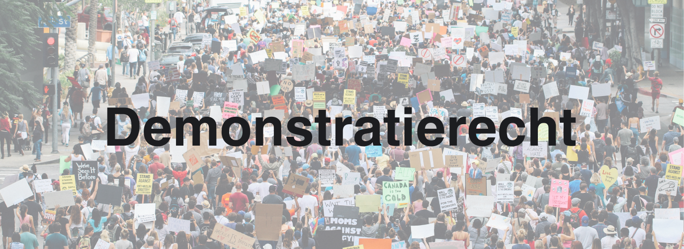 Demonstratierecht