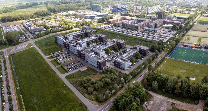 decoratieve afbeelding