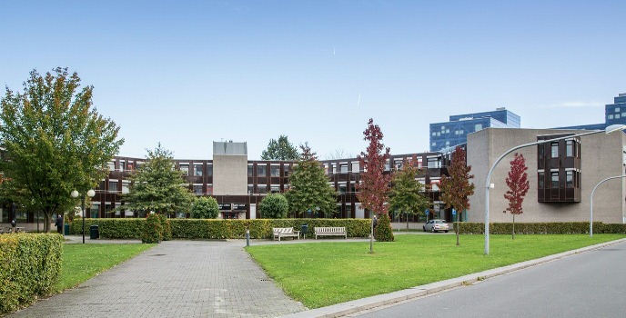 decoratieve afbeelding