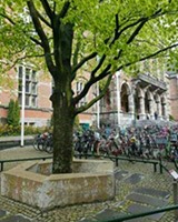 Het monument op het Broerplein, met in het midden een beukenboom die de universiteit met al haar takken van wetenschap symboliseert, is naar Ubbo Emmius vernoemd.