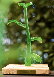 De Steenbreker van het jaar-award