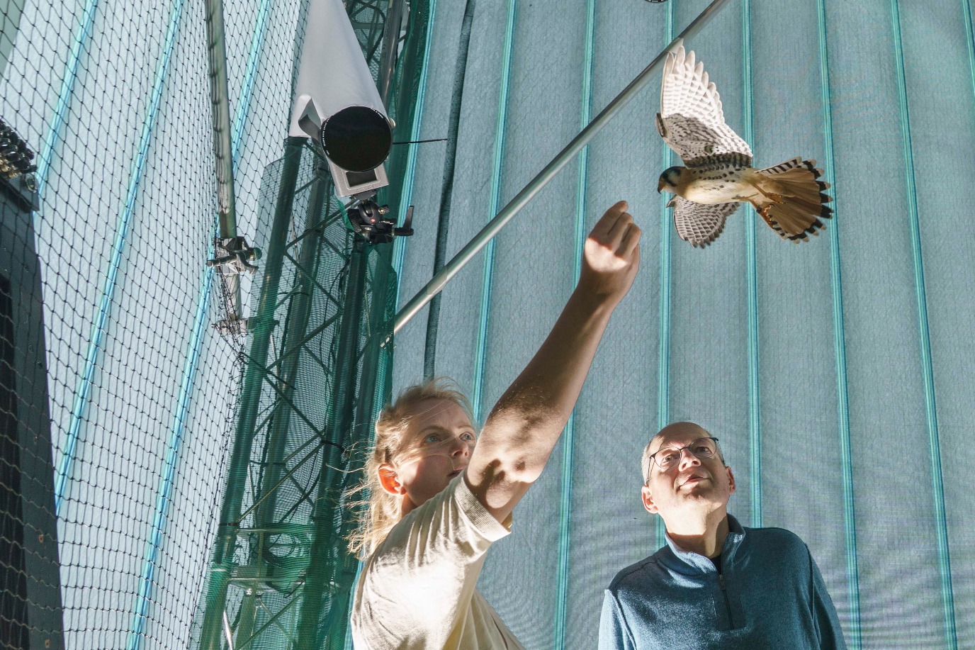 Janssen beloont de torenvalk met een snack