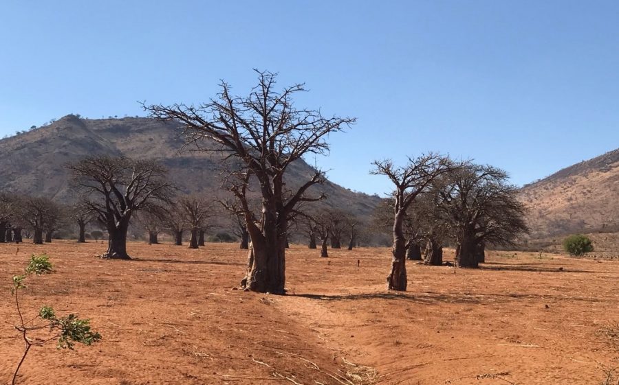 Lieke Hulshof in Tanzania