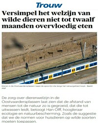 Trouw article