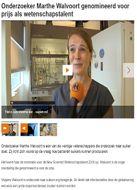 Artikel RTV Noord