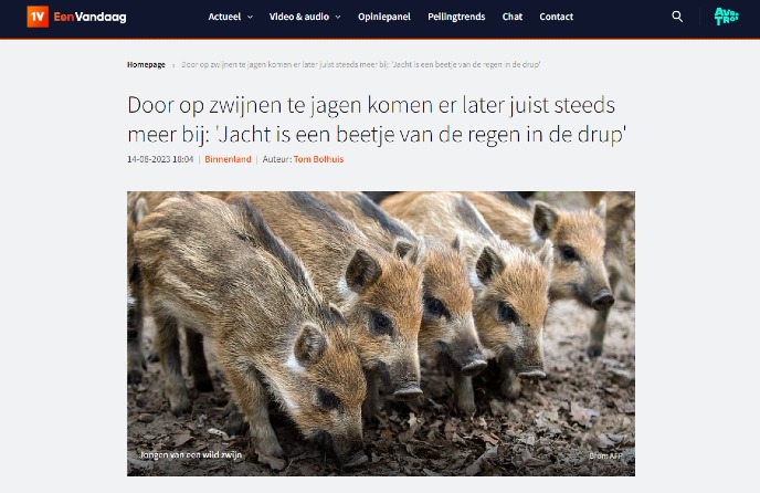 Artikel EenVandaag