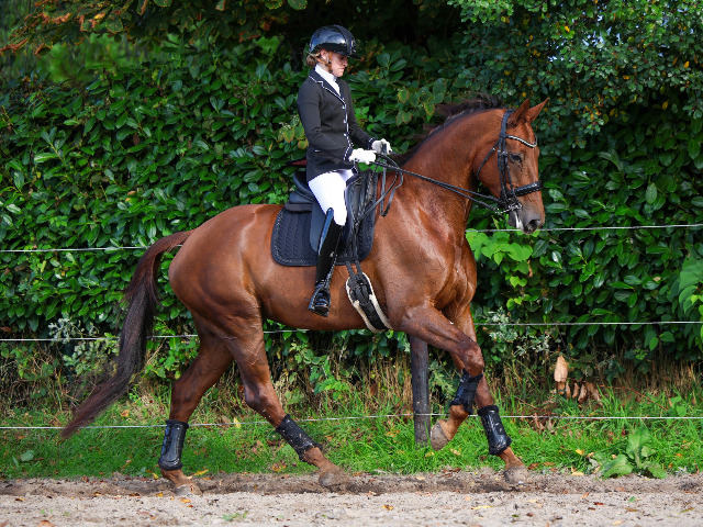 Maaike in actie