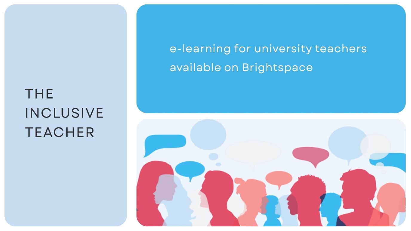 Inclusive Teacher