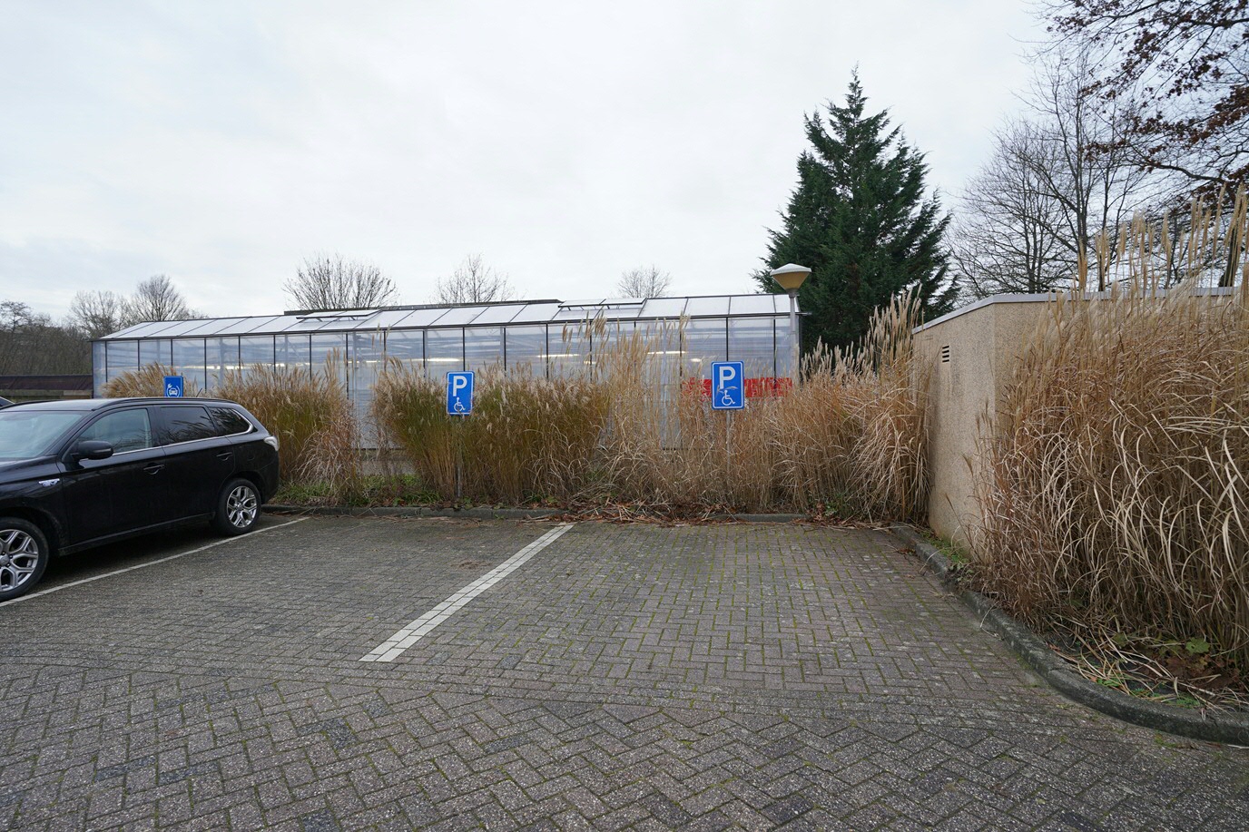 On-site parking for people with a (physical) disability, parking lot P0