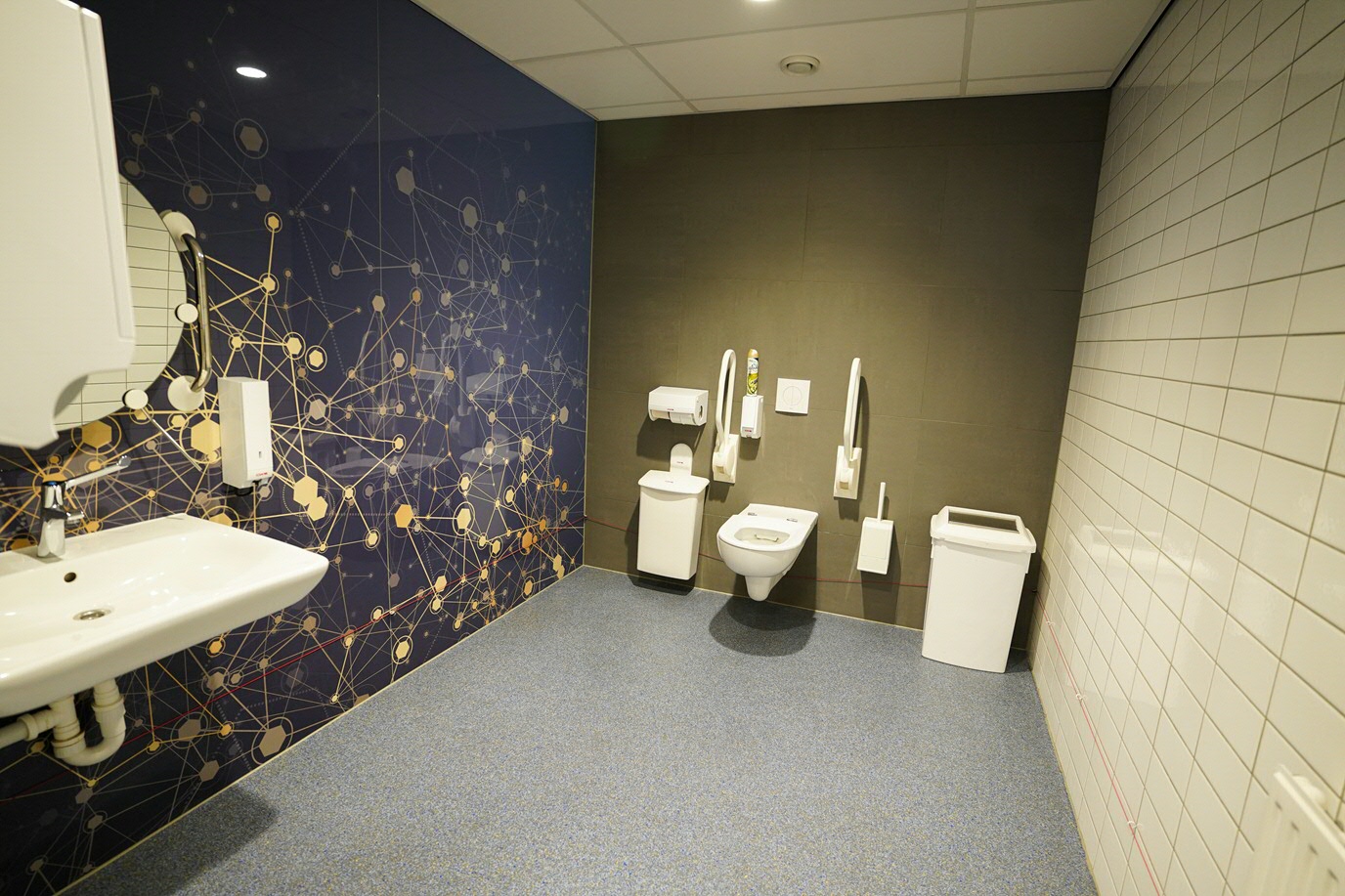 Wheelchair-friendly toilet on site