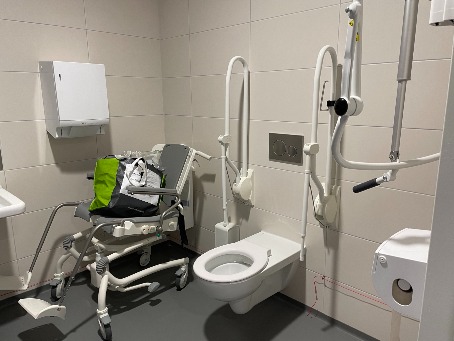 Wheelchair-friendly toilet ground floor