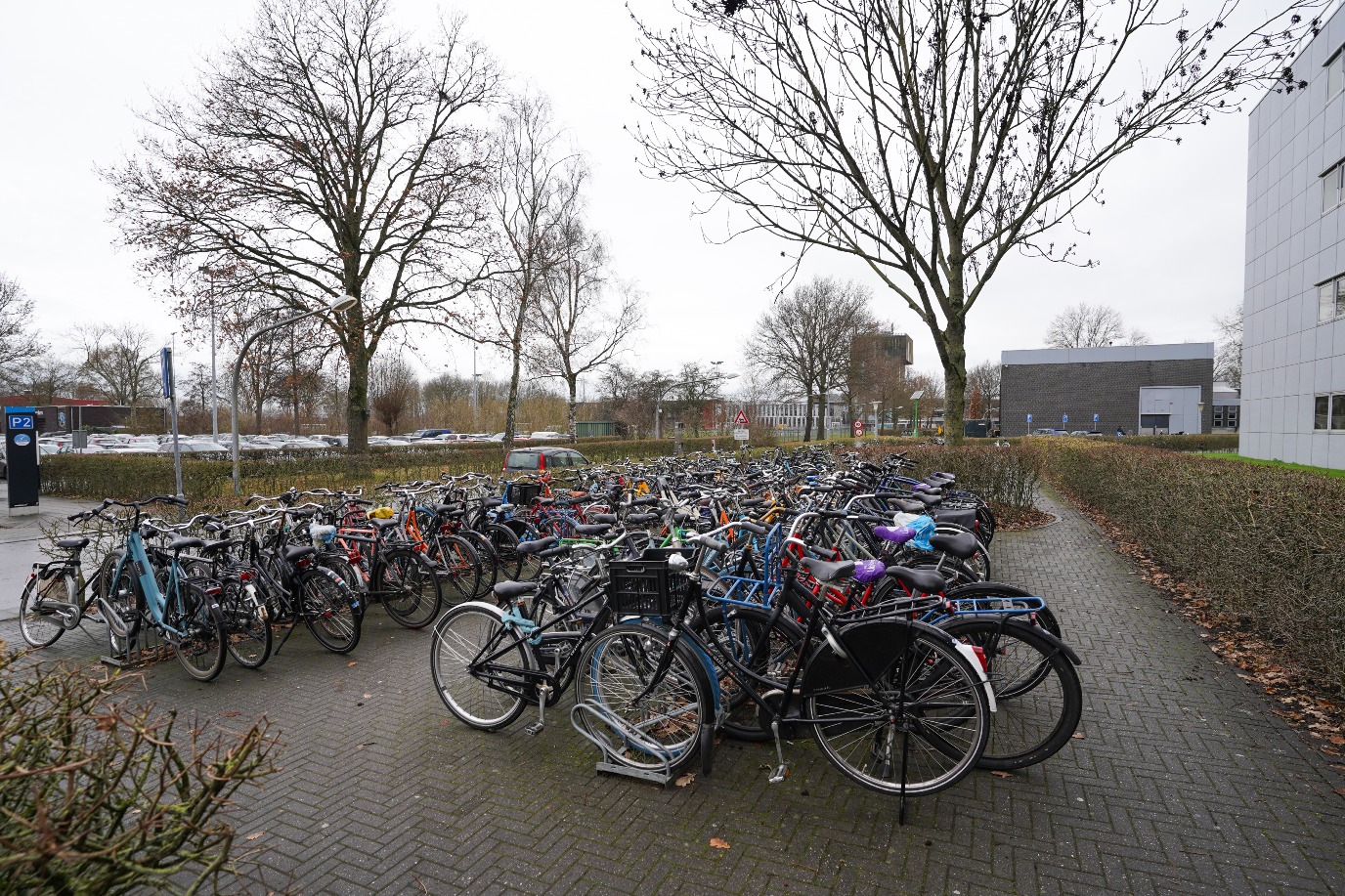 Fietsparkeerplaatsen op locatie, links van hoofdingang